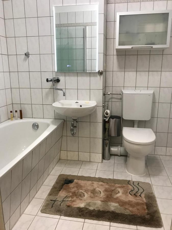 Zentrumsnahe Leipzig-Apartments, Nahe Ufz Und Bmw Inkl Parkplatz Und Fahrraeder Dış mekan fotoğraf