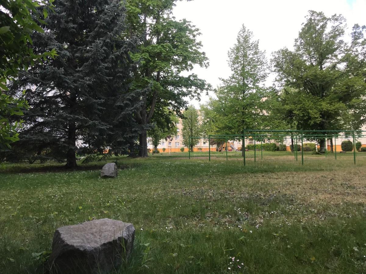 Zentrumsnahe Leipzig-Apartments, Nahe Ufz Und Bmw Inkl Parkplatz Und Fahrraeder Dış mekan fotoğraf