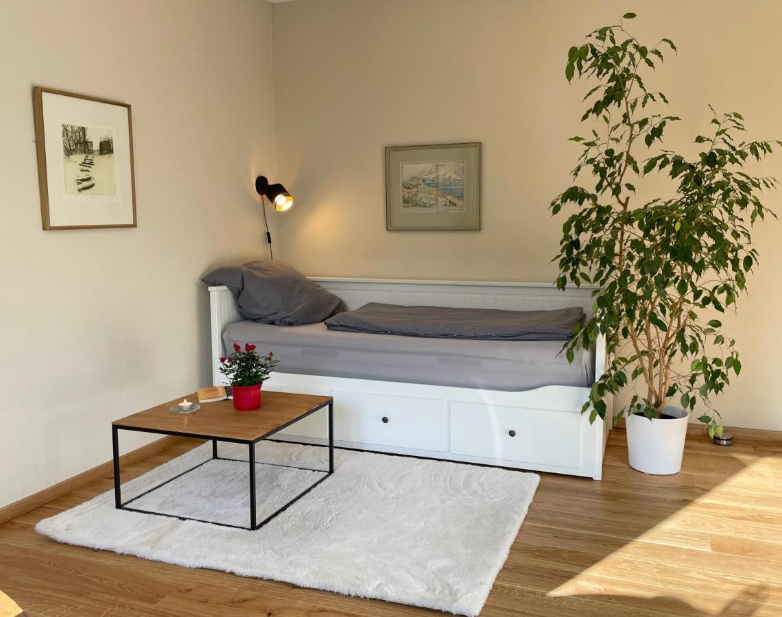 Zentrumsnahe Leipzig-Apartments, Nahe Ufz Und Bmw Inkl Parkplatz Und Fahrraeder Dış mekan fotoğraf